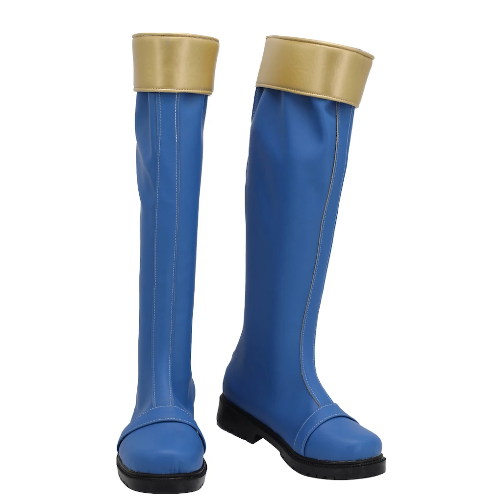 Power Rangers Dino Thunder Blue Dino Thunder Cosplay Boots